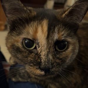 Meet your Posher, Chloe